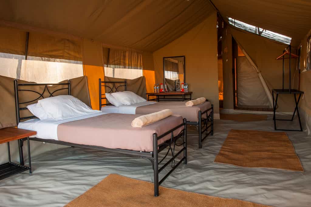 View from inside the tent