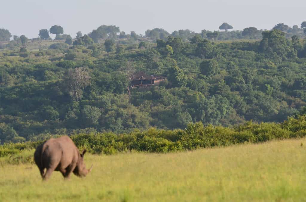 Looking back to camp