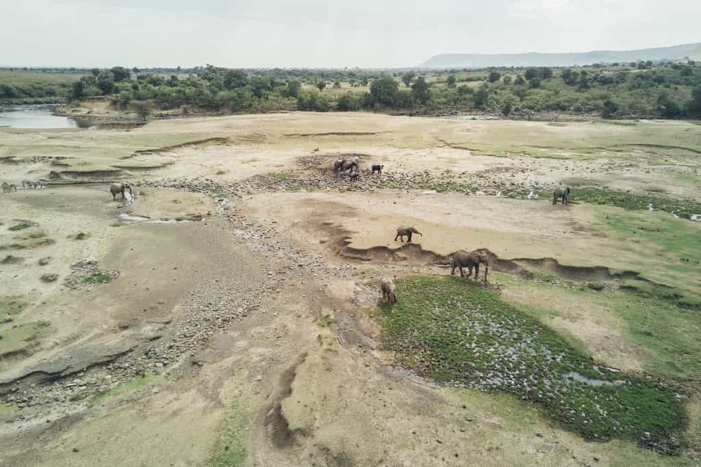 Overlooking the salt lick from the mess area