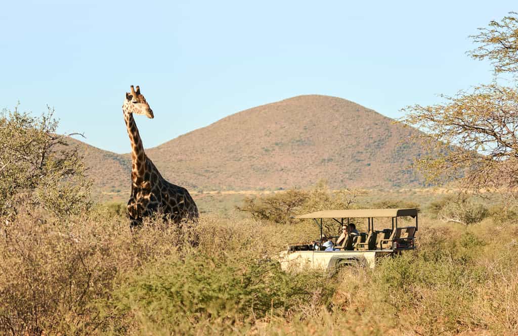 Tailor made safaris 