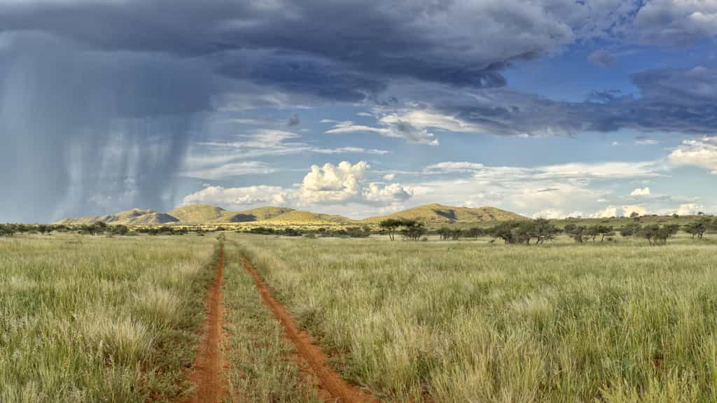 Tswalu lets you reconnect with the richness of the earth