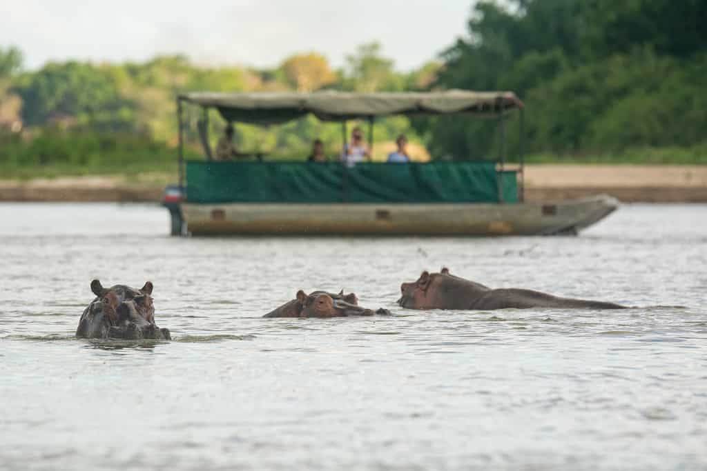 Short and full day boat safaris on the Rufiji River and Lakes of the Selous Game Reserve