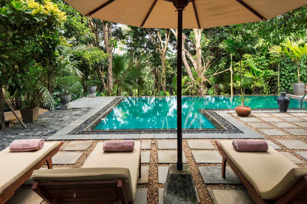 The pool is surrounded by Mango and Clove trees
