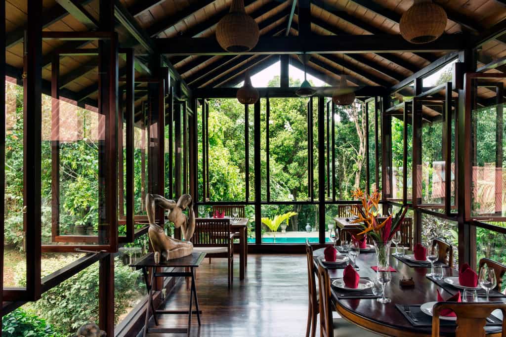 Dining in the canopy of the trees