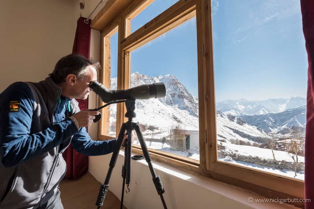 Room with a view ( may include a Snow Leopard ) 