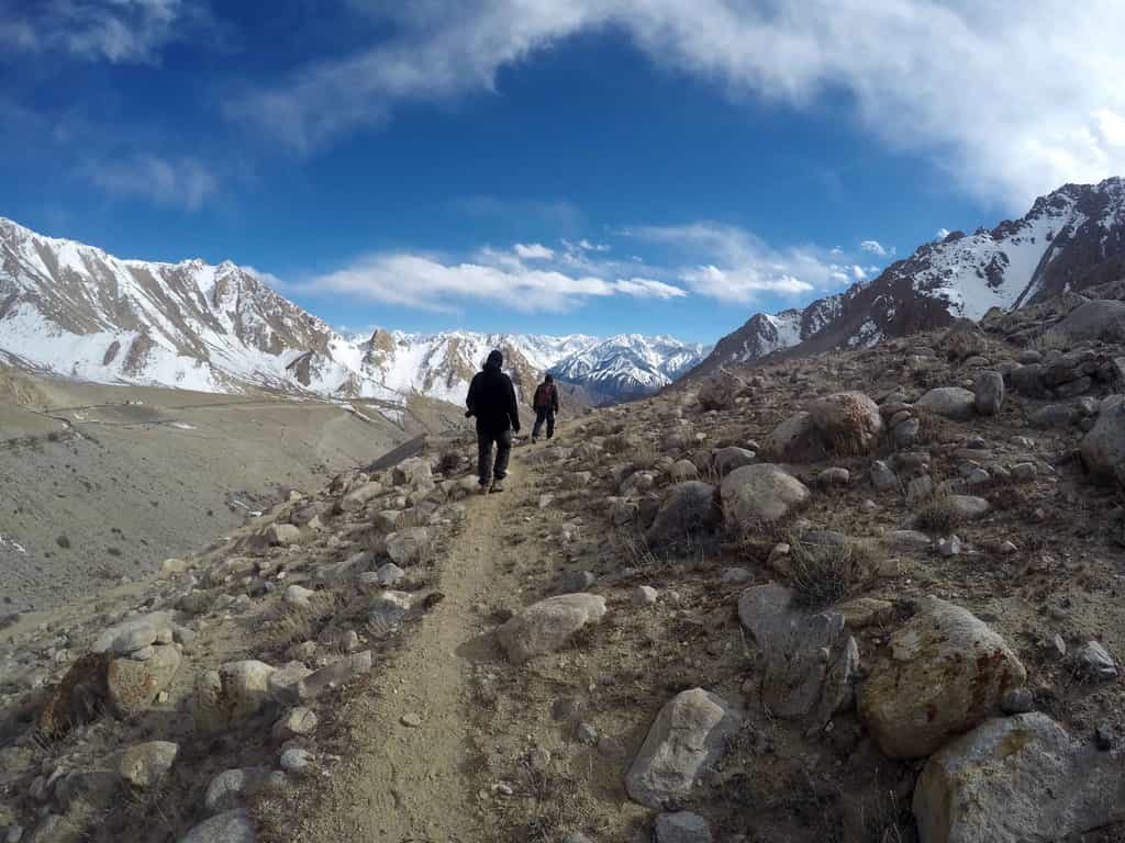 A walk to the wolf den to monitor the pups, May 17