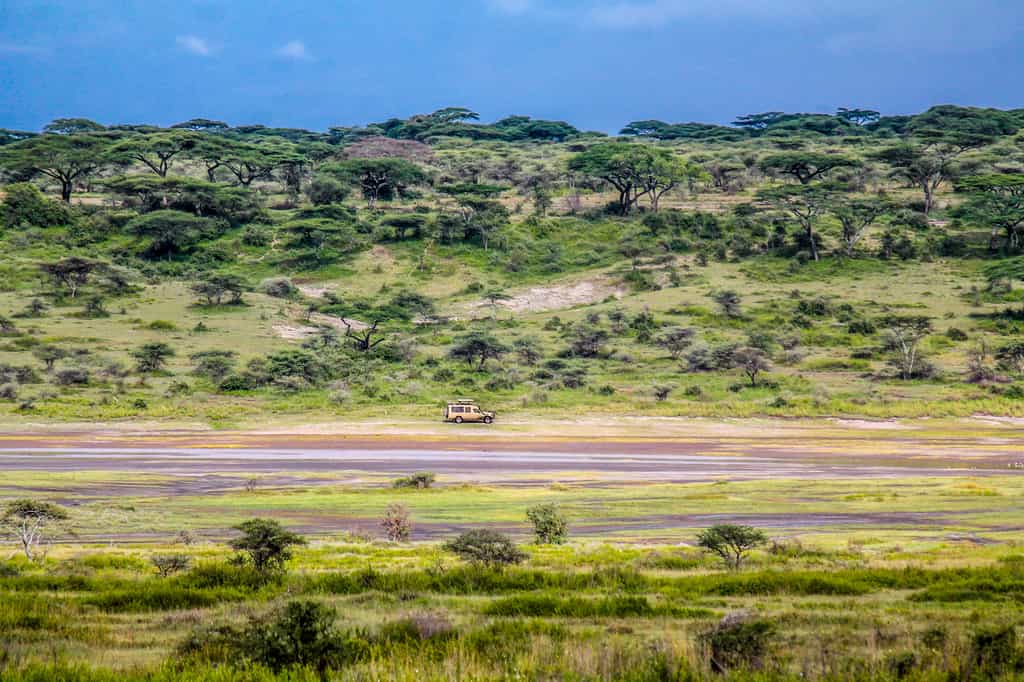 A typical view of the Ndutu landscape - perfect for viewing the full range of wildlife available