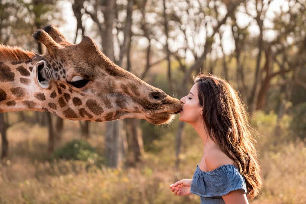 Sharing a kiss with a giraffe