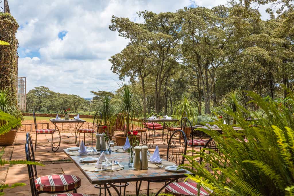 Lunch on the courtyard