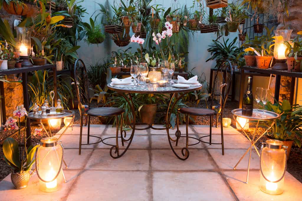 Romantic Orchid House dinner