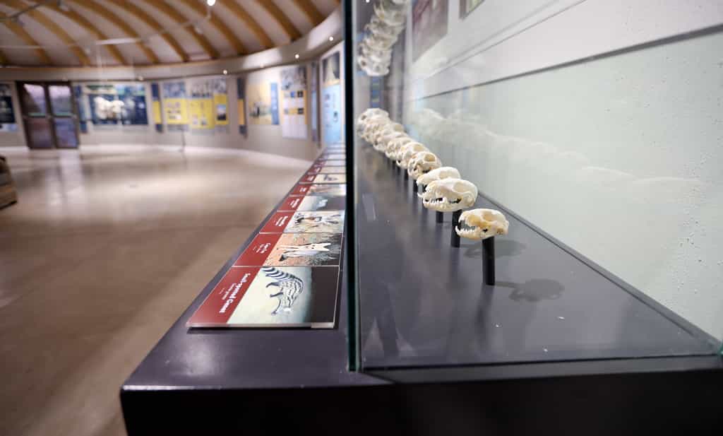 ORC Visitor Centre Display