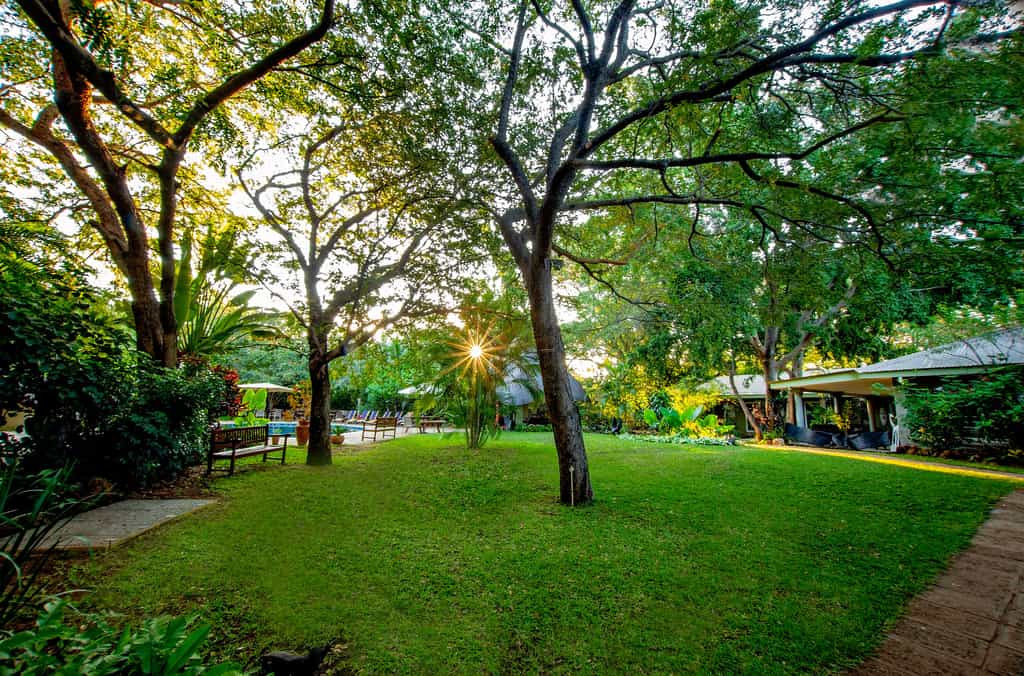 With in the wall of Bayete, guests will met by a jungle like oasis, even during a hot dry summer, the Bayete gardens are lush and green, providing a sense of peace and tranquility. 