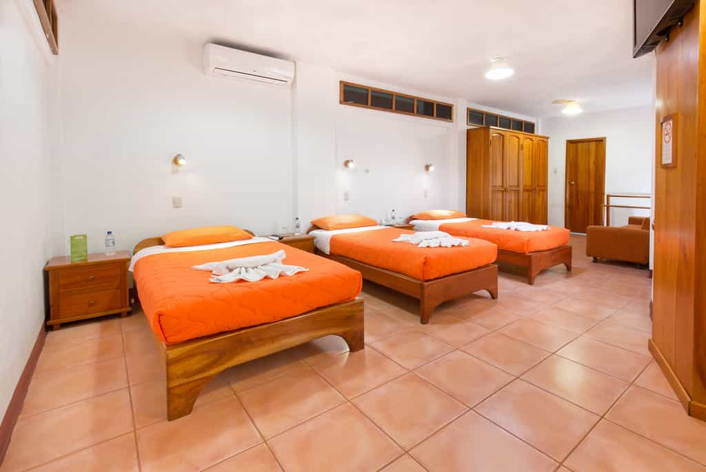 Three twin size beds or One king size bed and one twin size bed