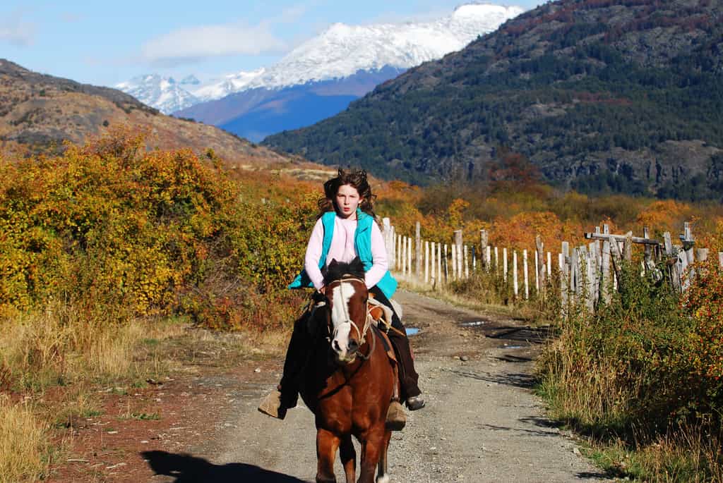 Horseriding around Terra Luna