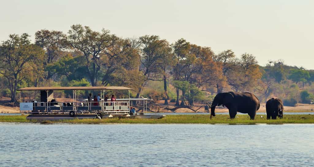 Boat cruise on the Chobe River in Chobe National Park, on River View Lodge's spacious and well-appointed pontoon boat.