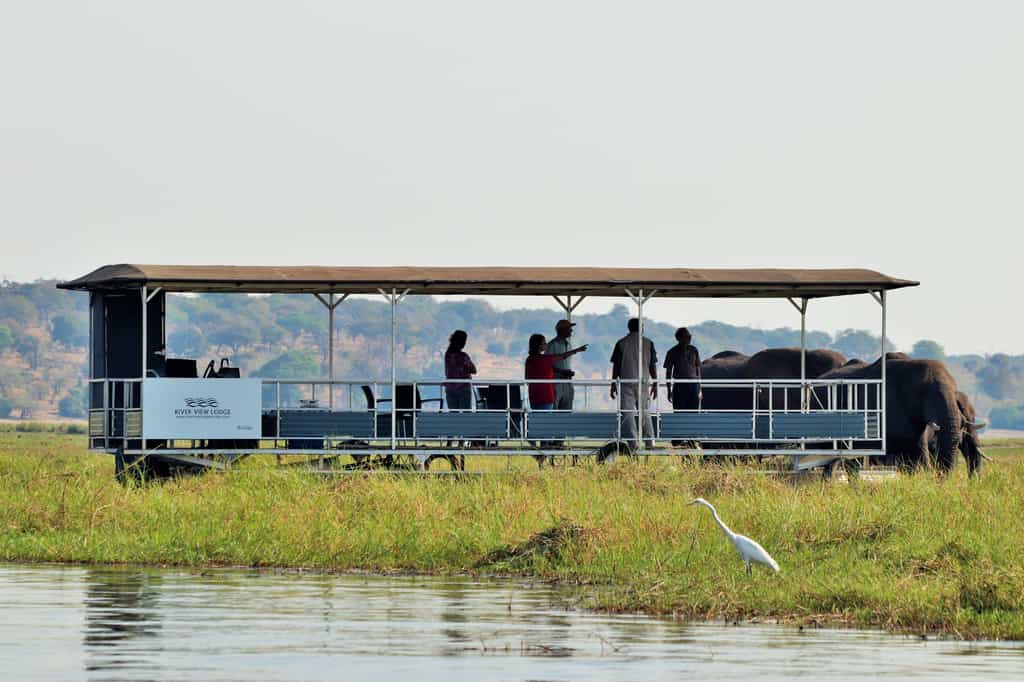 Boat cruise on the Chobe River in Chobe National Park, on River View Lodge's spacious and well-appointed pontoon boat.