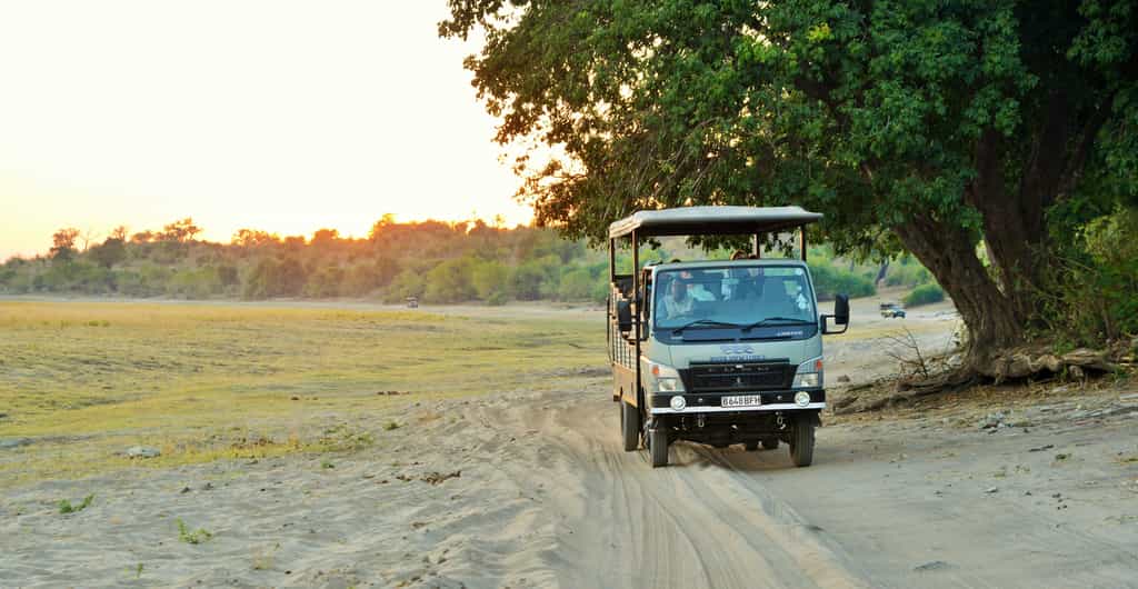Game drive in Chobe National Park in River View Lodge's spacious and well-appointed game viewer.
