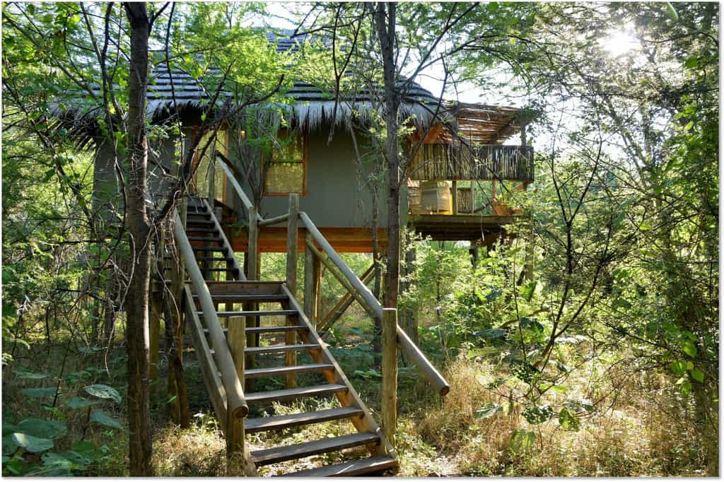 Treetop suite