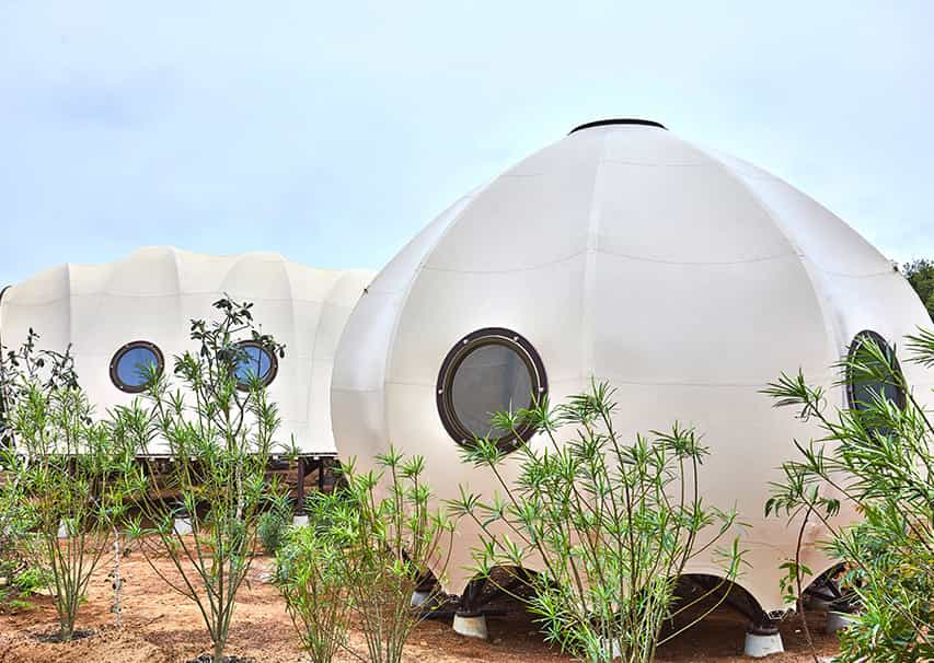 Family Cocoon Suite with Urchin