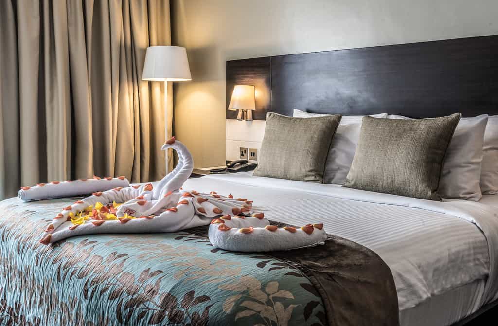 Superior Double or Twin Room