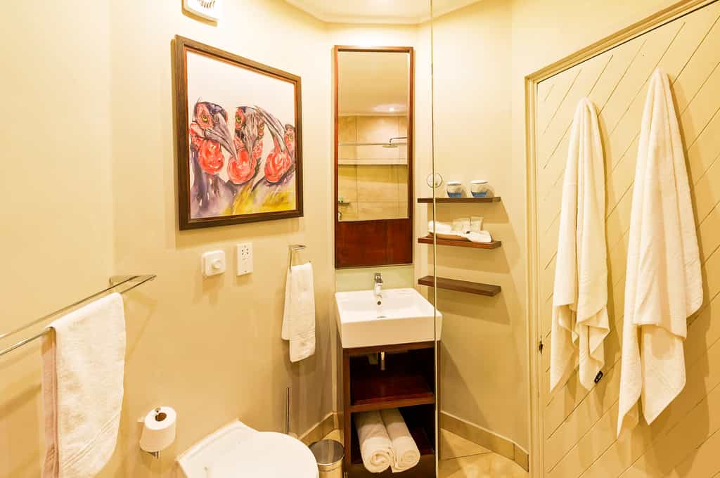 Lodge Waterhole Facing Rooms 