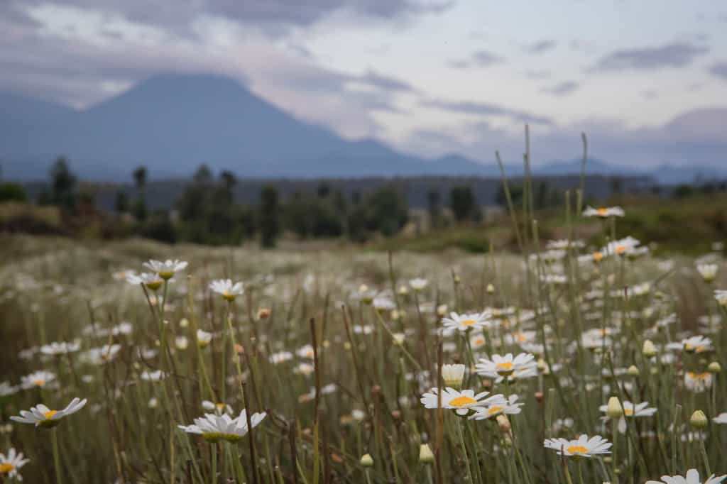 Two-bedroom staff residence