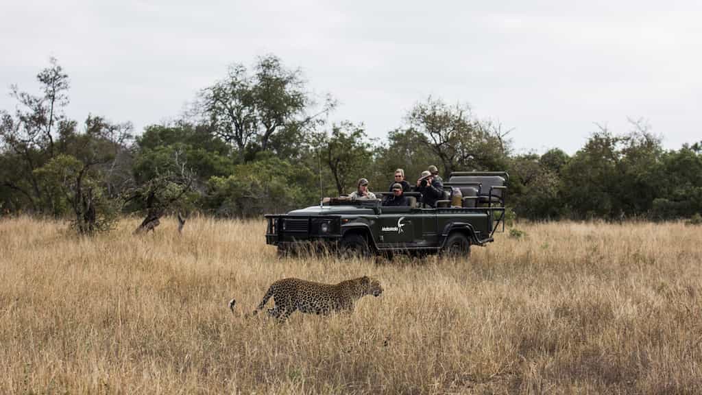 This exclusivity affords a completely private and personal safari experience