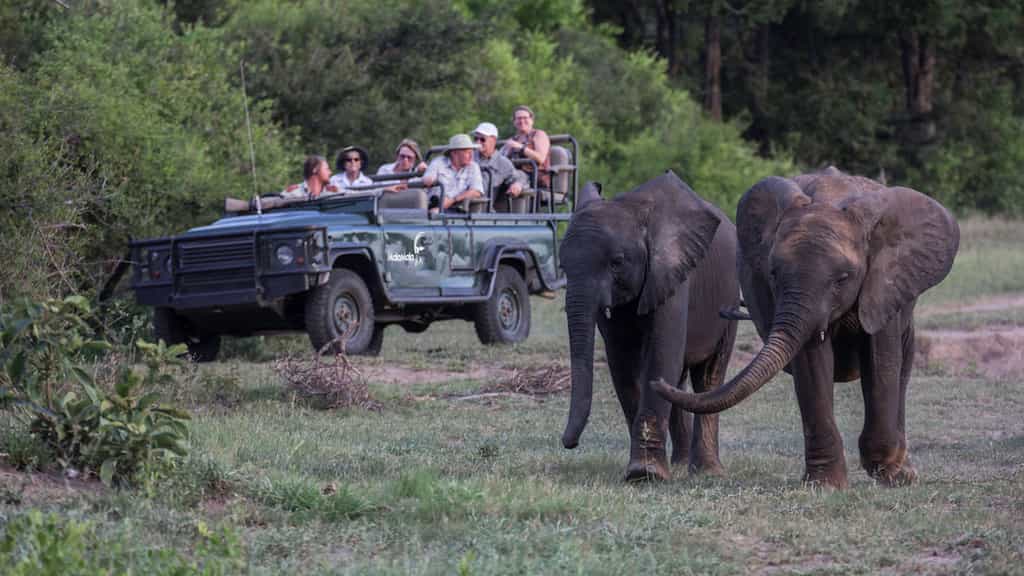 Highly skilled and knowledgeable, rangers act as hosts both in the bush and in camp