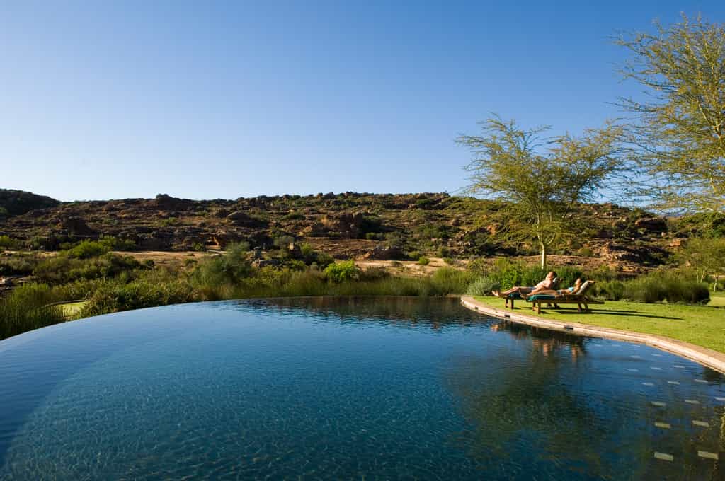 Three pools are surrounded by lush lawns and one heated pool at the Homestead