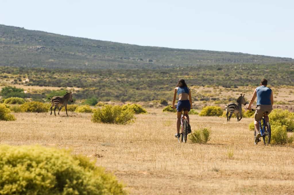 Mountain biking in the Reserve
