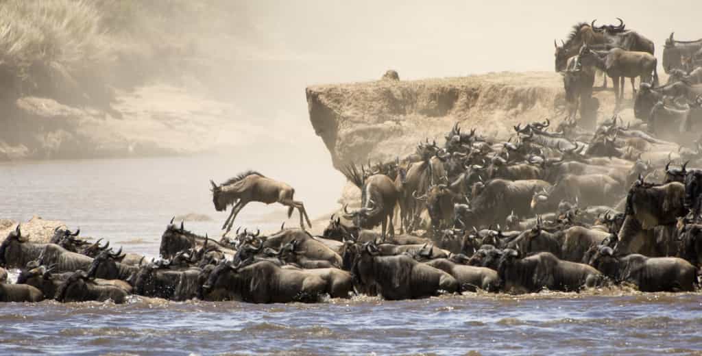 One of the most spectacular phenomenons on the planet