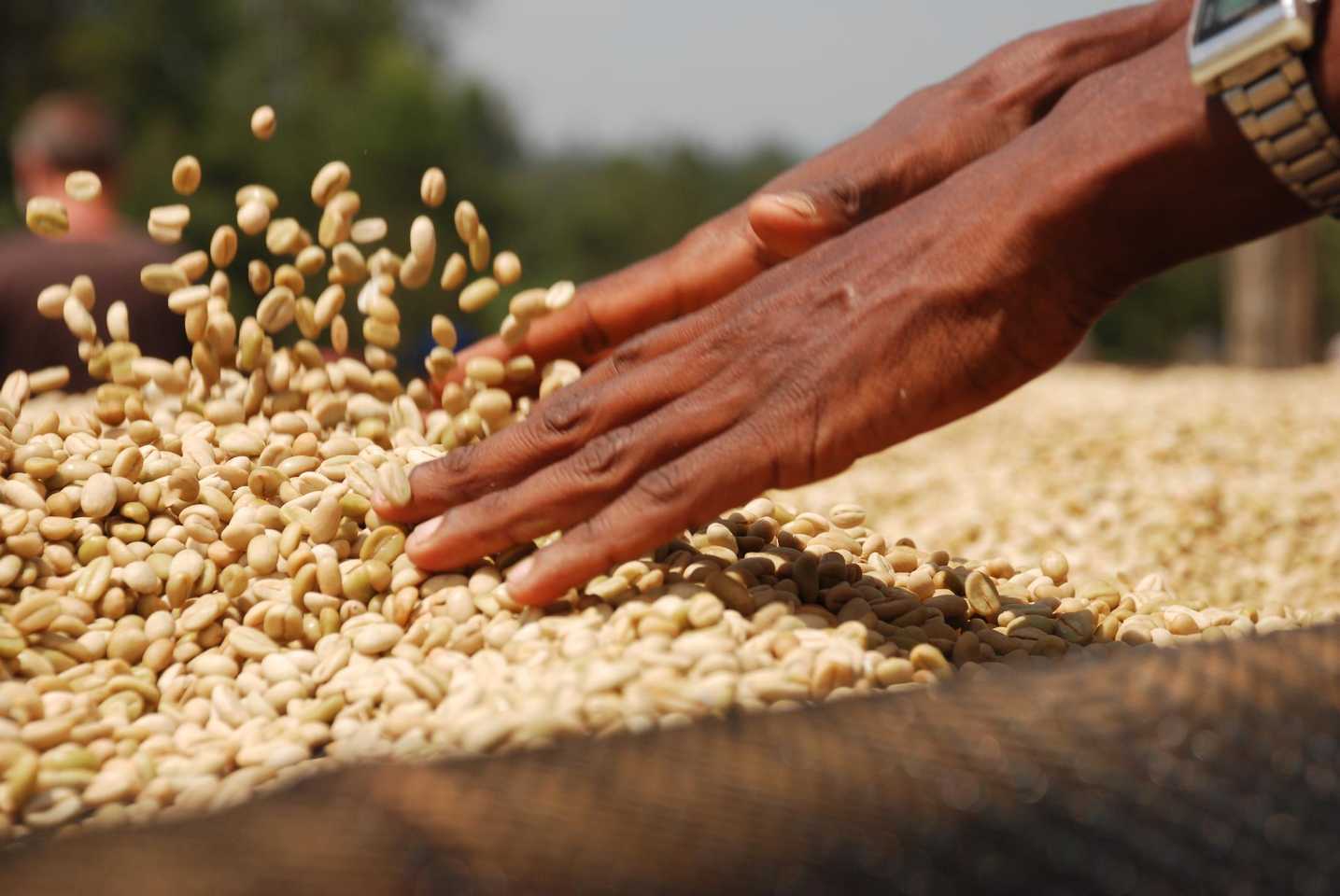 food experiences in South Africa