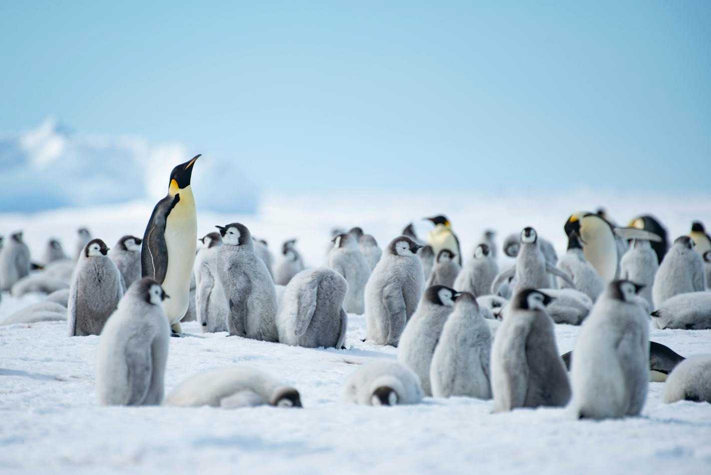 Sensational Wildlife & Where To Find It