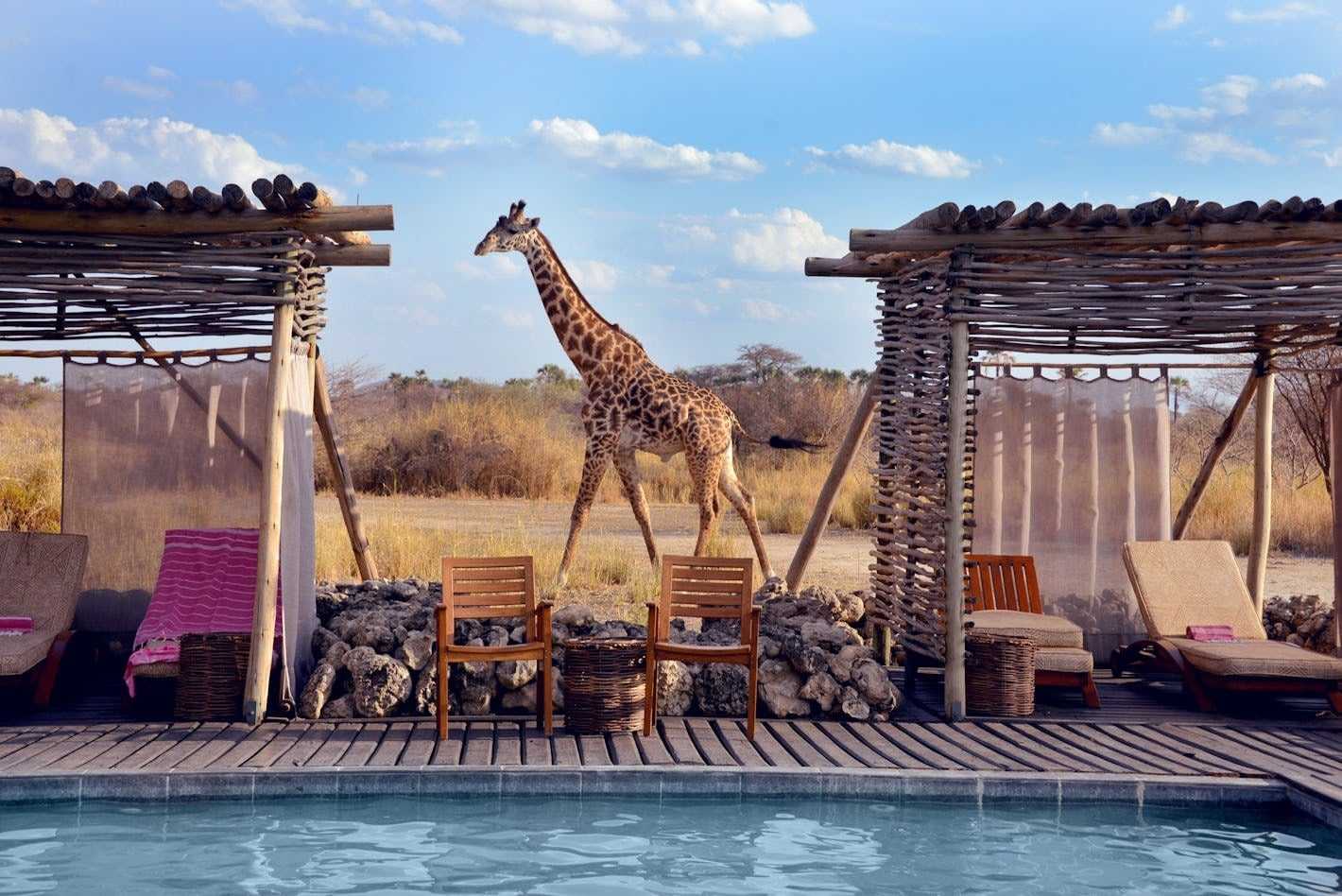 Giraffe passing pool at Chem Chem Lodge