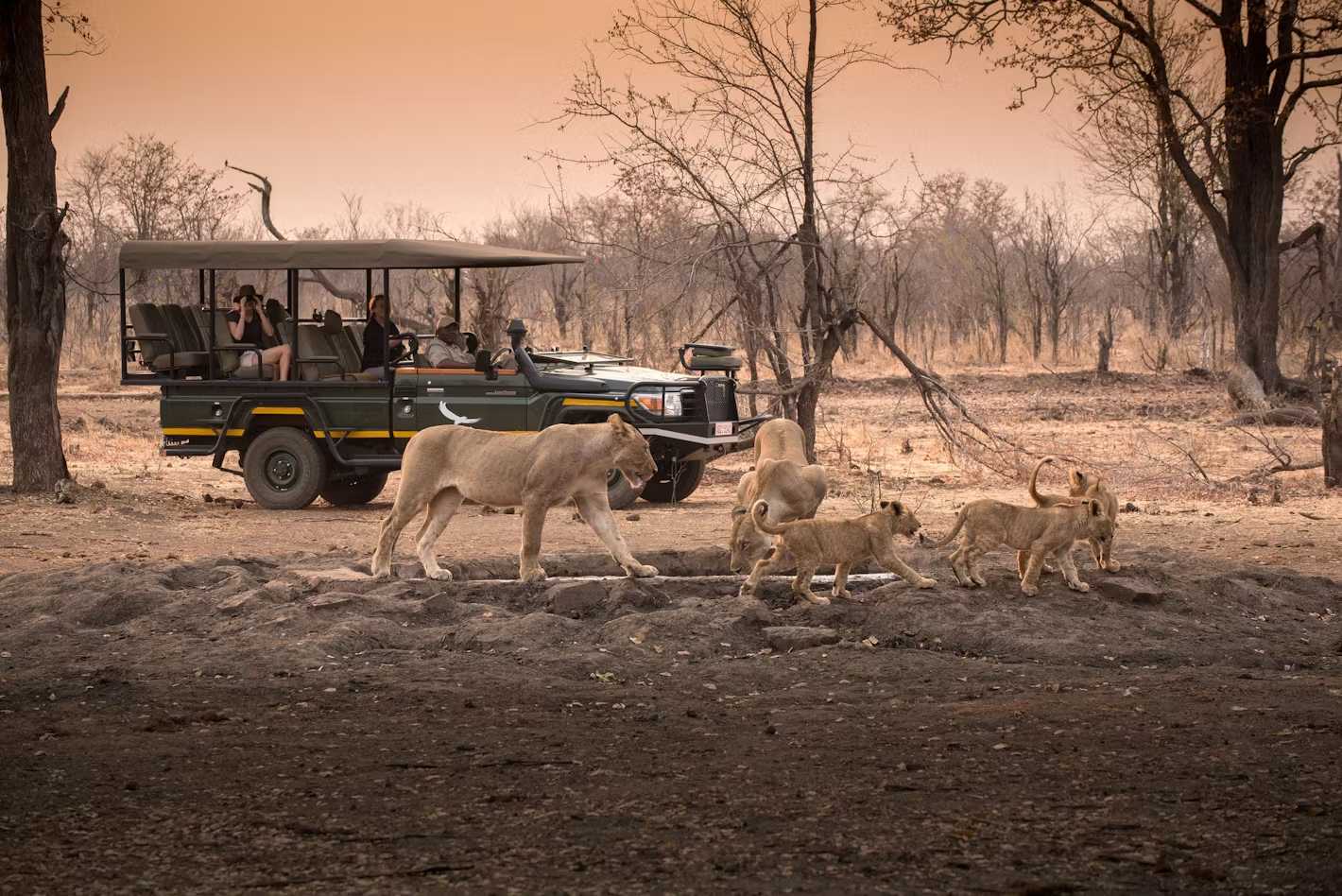 Activities in Victoria Falls