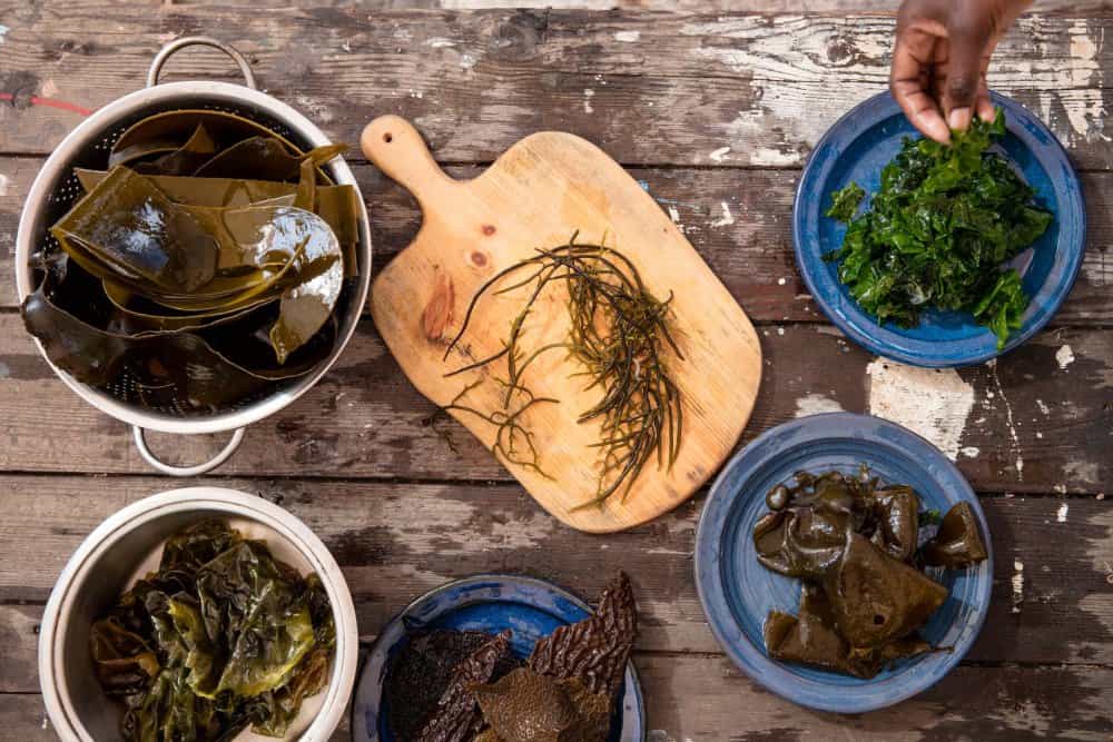 food experiences in South Africa