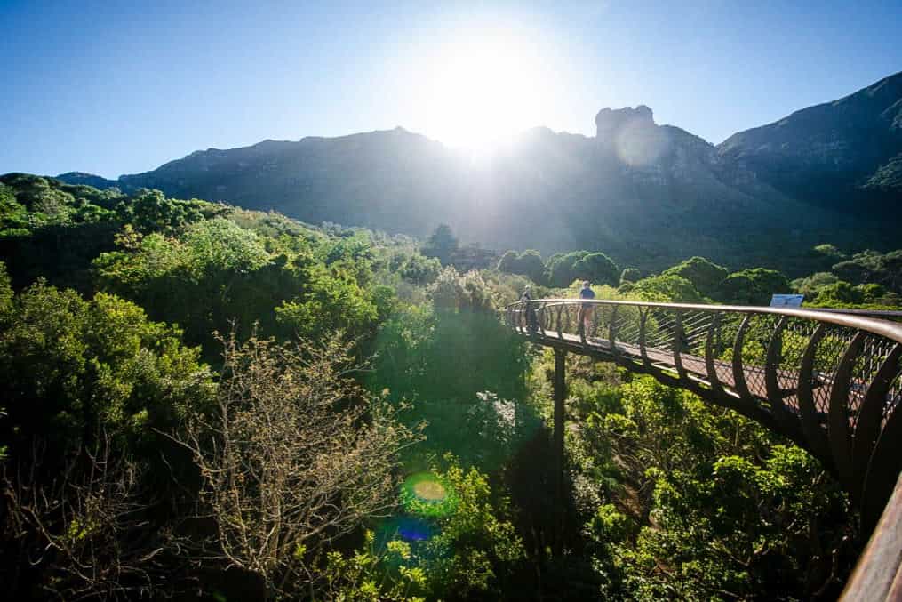 Kirstenbosch - Family activities in Cape Town