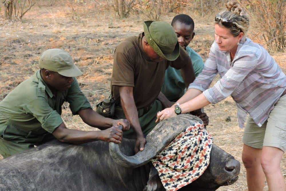 Rachel McRobb - Women in Africa