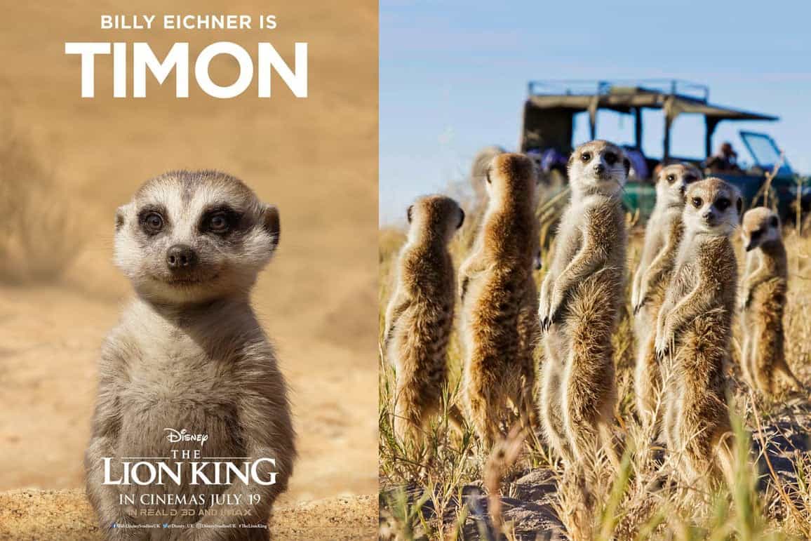 Lion King Characters