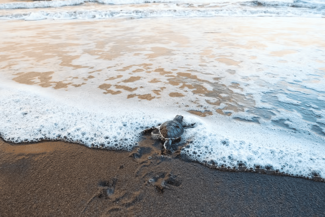 costa rica country guide