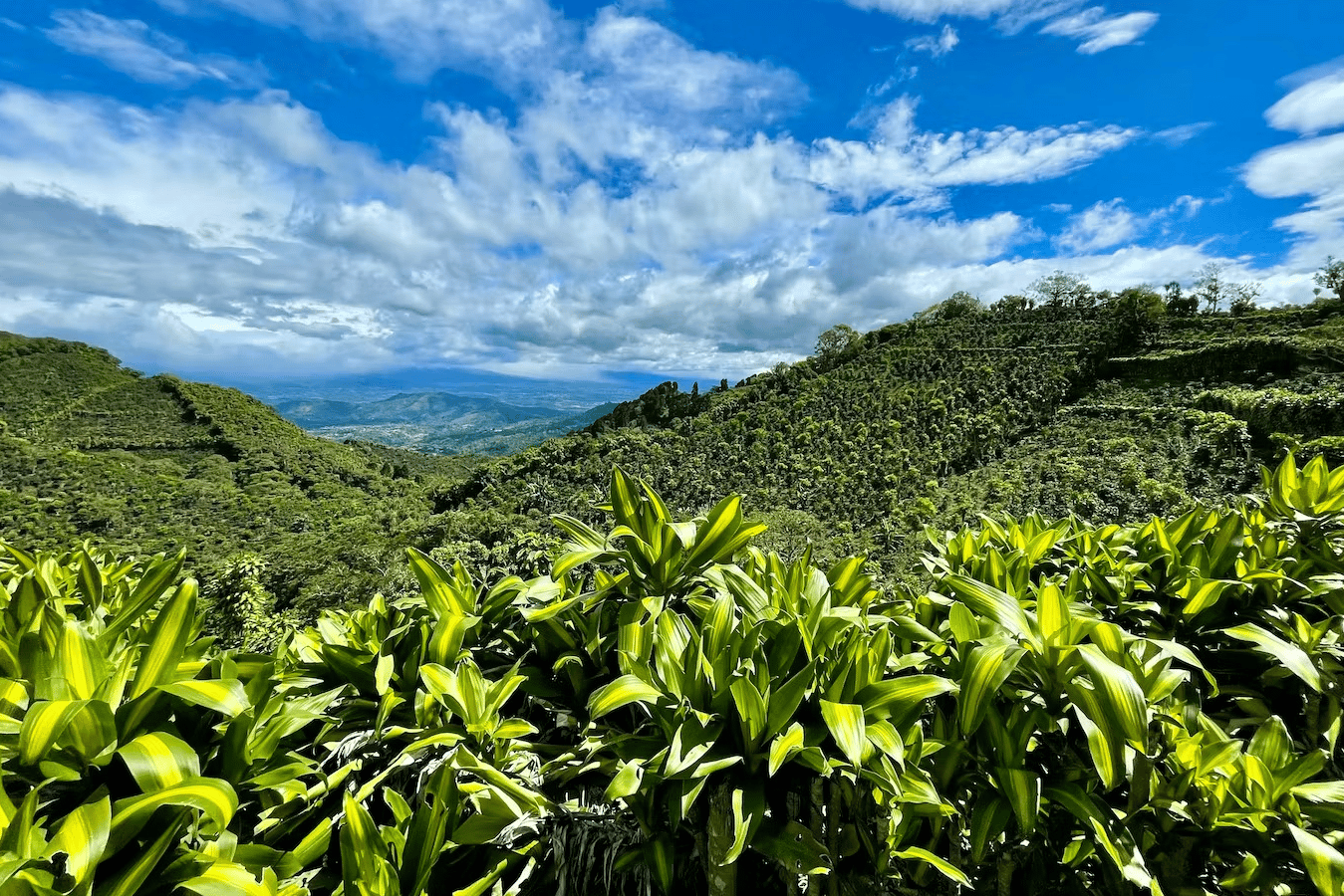 costa rica country guide