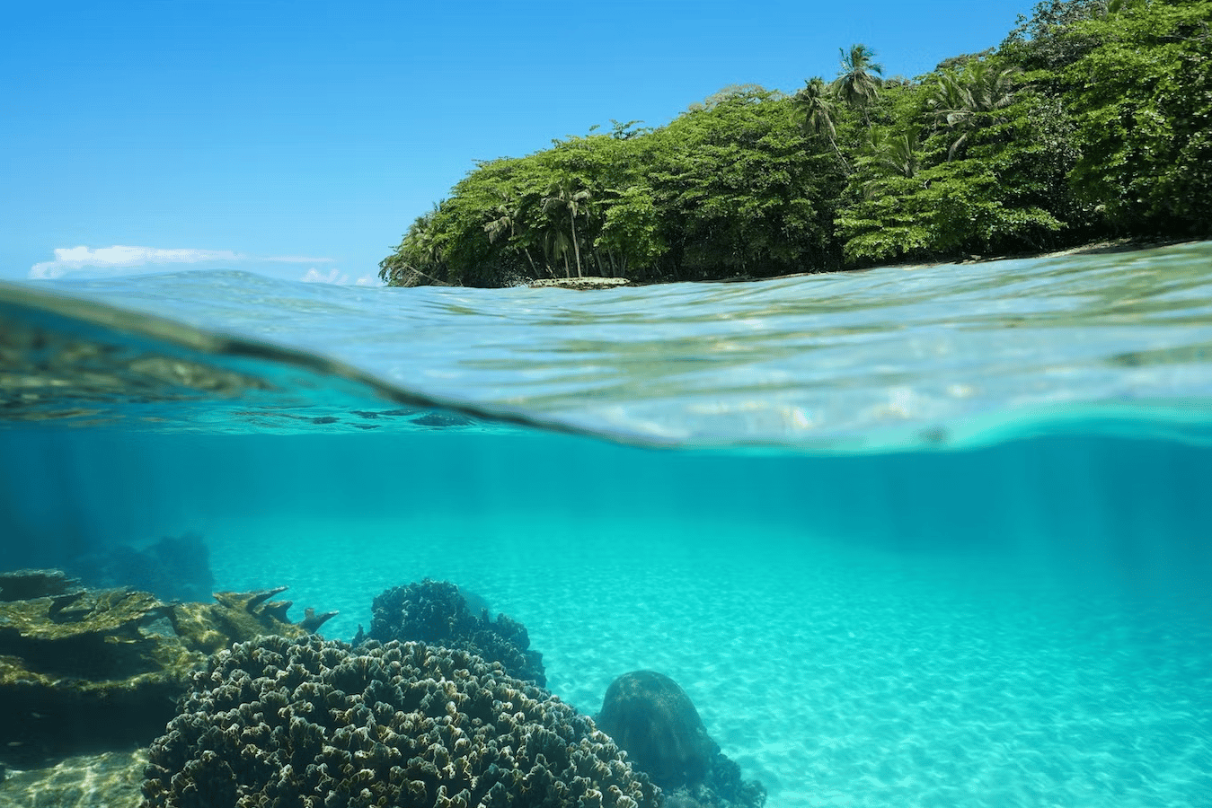 costa rica honeymoon