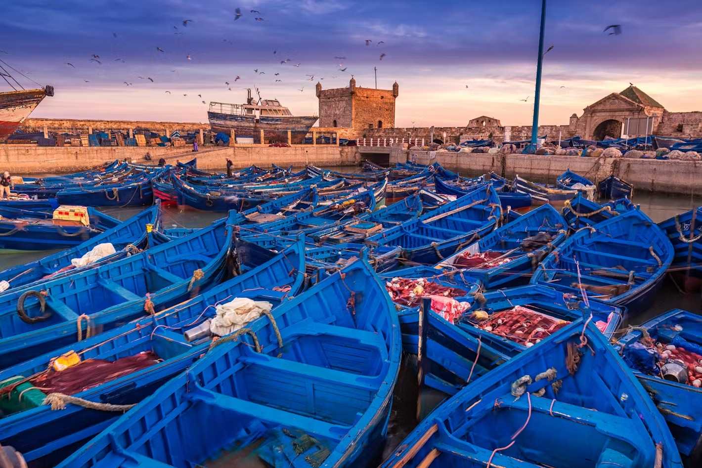 Morocco country guide