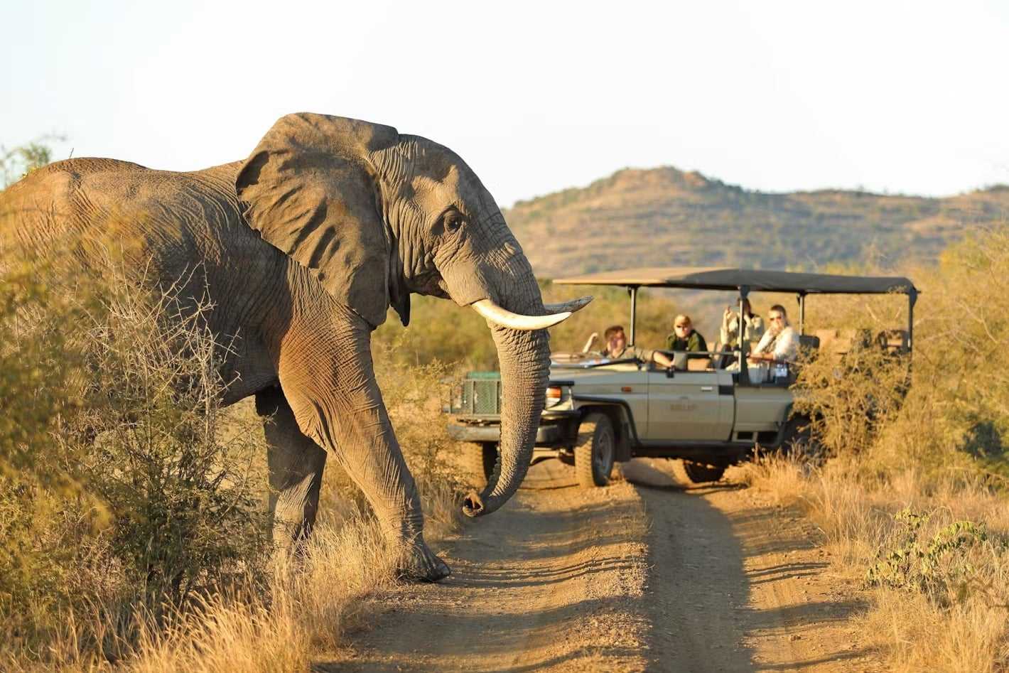 south africa in luxury