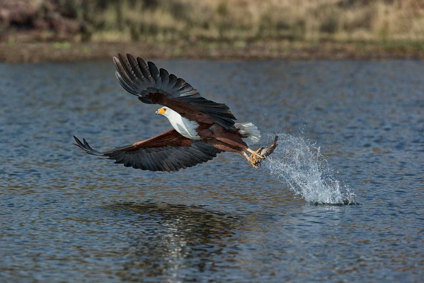 Zimbabwe travel tips