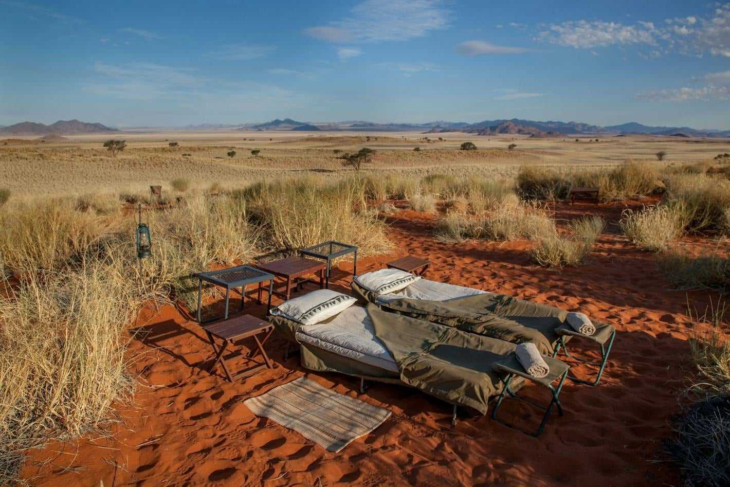 Take A Walk On The Wild Side