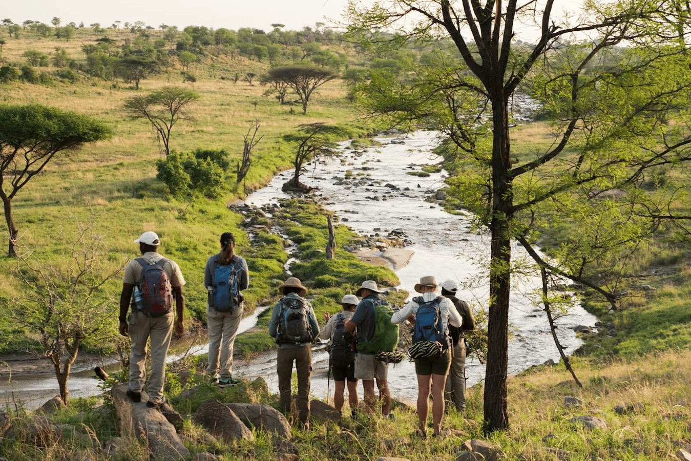 Take A Walk On The Wild Side