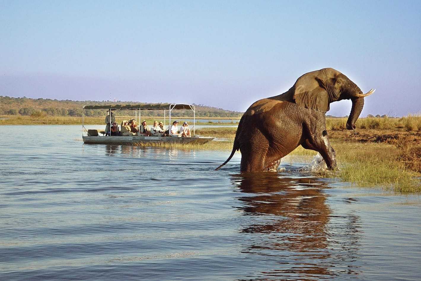 See Botswana in luxury