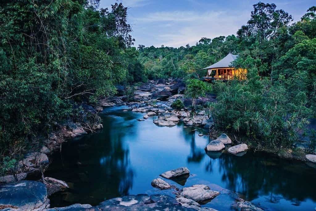 Jungle lodges