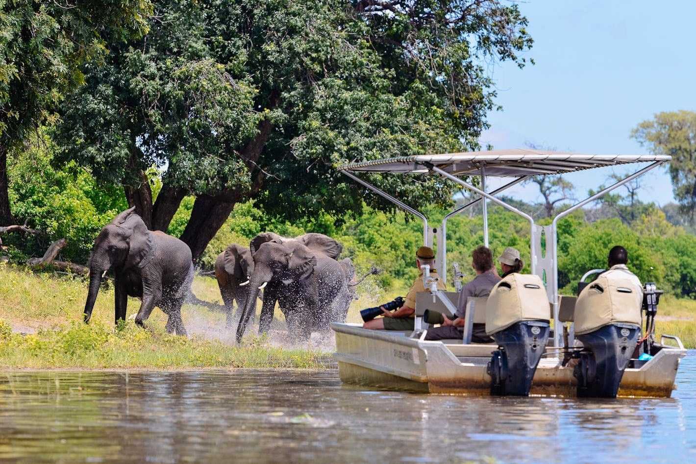 Activities in Victoria Falls